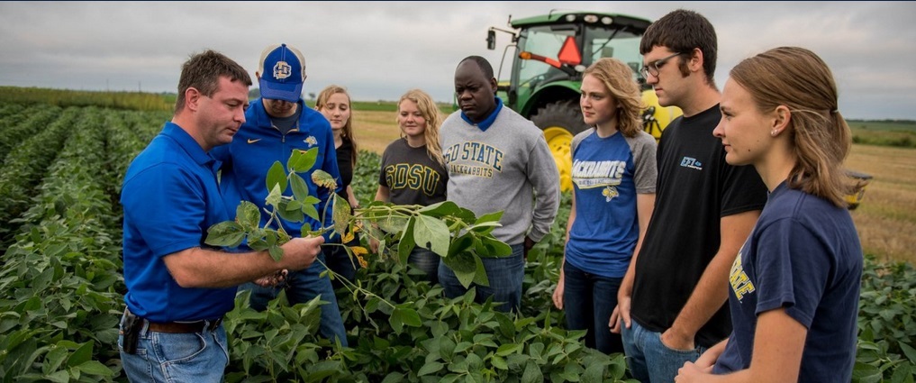 Instructor and students standing in a field discussing crops.